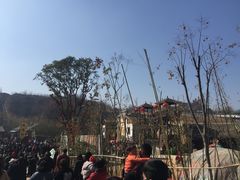 -倒盏民俗文化村