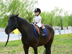 -月河湾马术俱乐部(朝阳店)