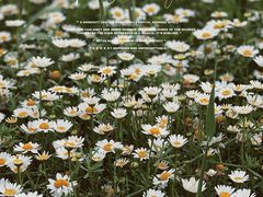 -漩门湾国家湿地公园