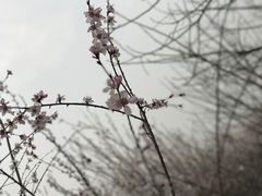 -明秦王墓遗址