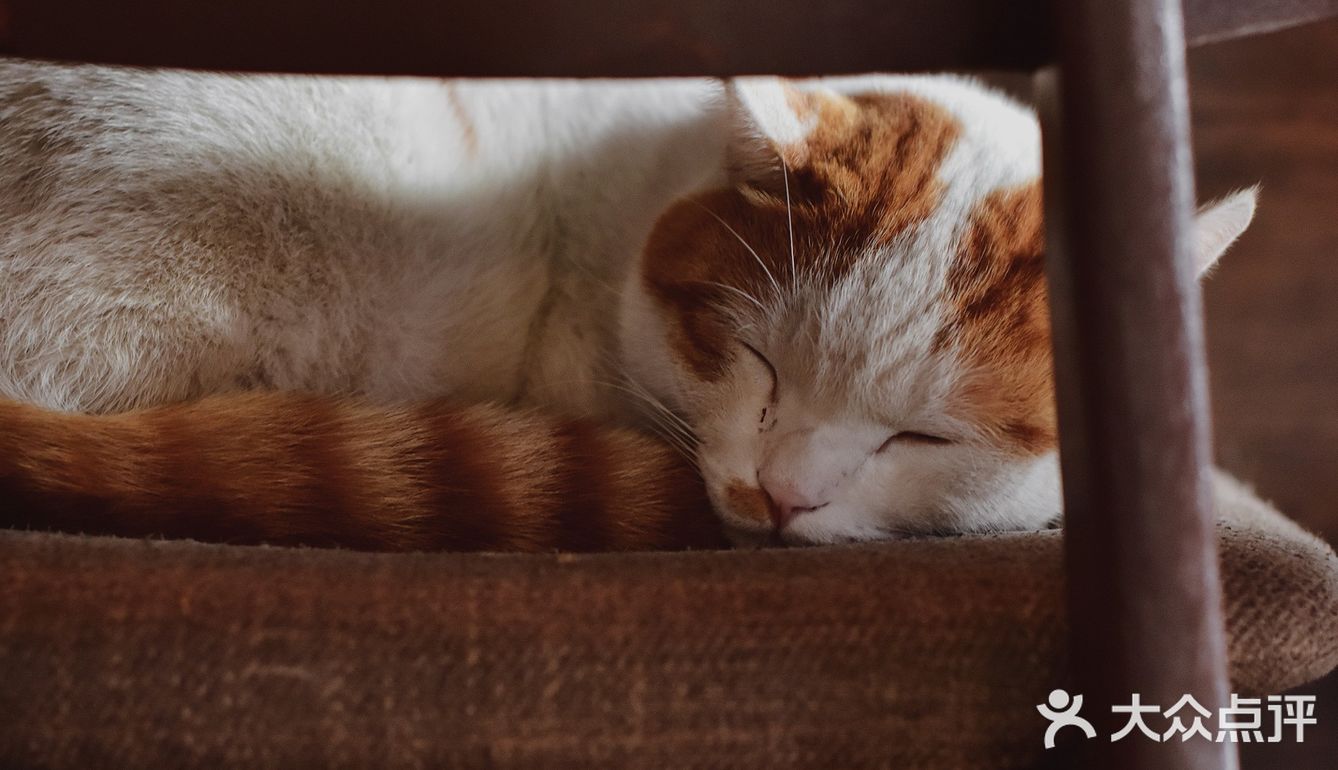 北京咖啡店|未沫