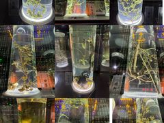 -广东中医药博物馆