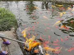 -成飞公园