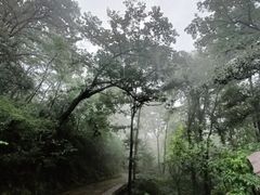 -波尔登森林公园