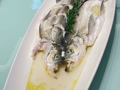 -诚园新喜洋餐厅