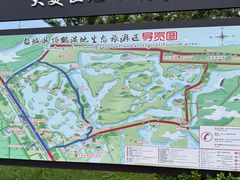 -盐城丹顶鹤湿地生态旅游区