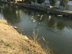 -乡乐园蟹庄·阳澄湖农家乐