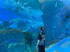 -波塞冬海底世界