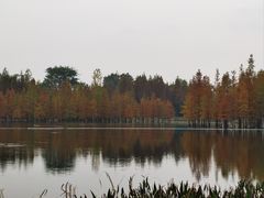 -白鹭湾湿地公园