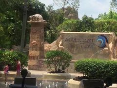 -新加坡水上探险乐园