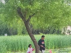 -太阳宫公园
