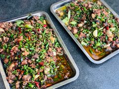 -铁山坪森林公园