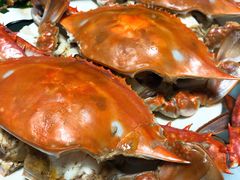 -金海湾海鲜排档(朱家尖店)