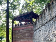 -桂湖森林公园