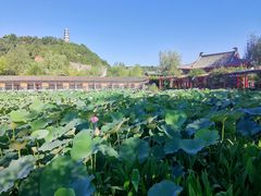 -渭南桃花源民俗文化园