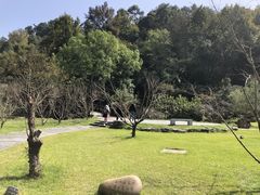 -常德桃花源景区
