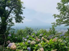 -学习谷日语培训日本留学·多语种外语教学(西单宣武分部)