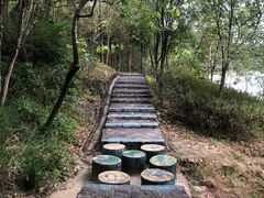 -广州白江湖森林公园