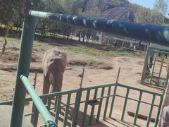 -哈尔滨北方森林动物园