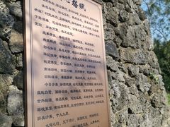 -沙美村