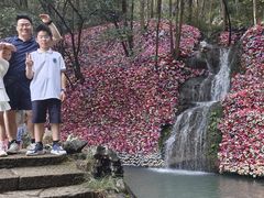 -灵栖洞天