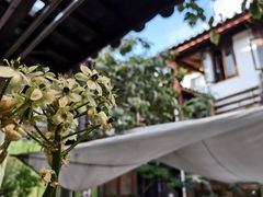 -吃货私房菜(丽江束河古镇店)