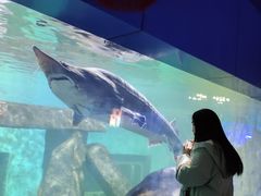 -重庆欢乐海底世界