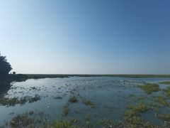 -北海金海湾红树林生态旅游区