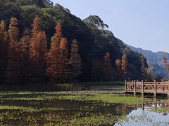 -广州市石门国家森林公园