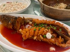松鼠鲈鱼-渔人码头(中南店)