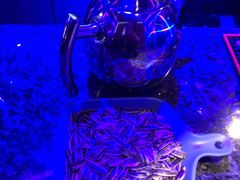 -好乐迪KTV(金钻店)