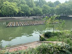 -西湖天地