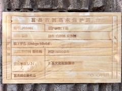 -浮来山风景区