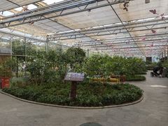 -南宫五洲植物乐园