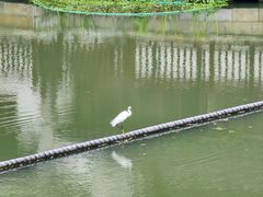 -巡塘古镇