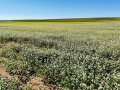 -北国之春国宴(乌兰察布店)