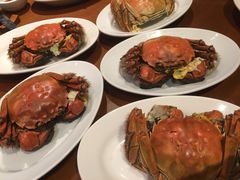 大闸蟹-广州富力君悦大酒店·凯菲厅