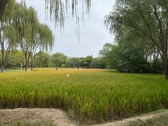 -北坞公园