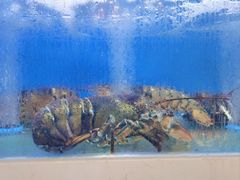 -一品滇香·云南菜(公益西桥店)