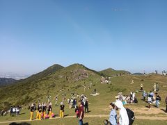 -大姆山草场