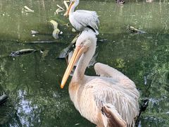 -济南野生动物世界