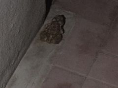 -北运河水利风景区