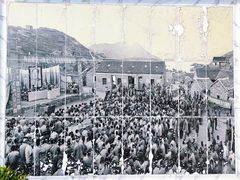 -枸杞岛