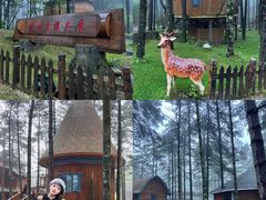 -洛阳白云山景区