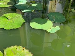 -富国岛翡翠湾 JW 万豪度假酒店