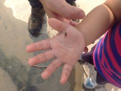 iphone_upload_pic-瀛洲公园