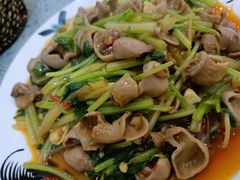 招牌炒鱼肚-潮汕铺老店(甜水井店)