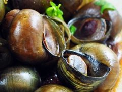 -食爺炭炉鸡煲·烧烤