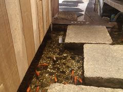 -邈墨茶馆(凤起路店)