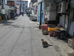 -三林塘老街